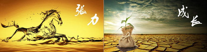 企業(yè)發(fā)展要學會取他人之長、補自己之短 企業(yè)發(fā)展要學會取他人之長、補自己之短